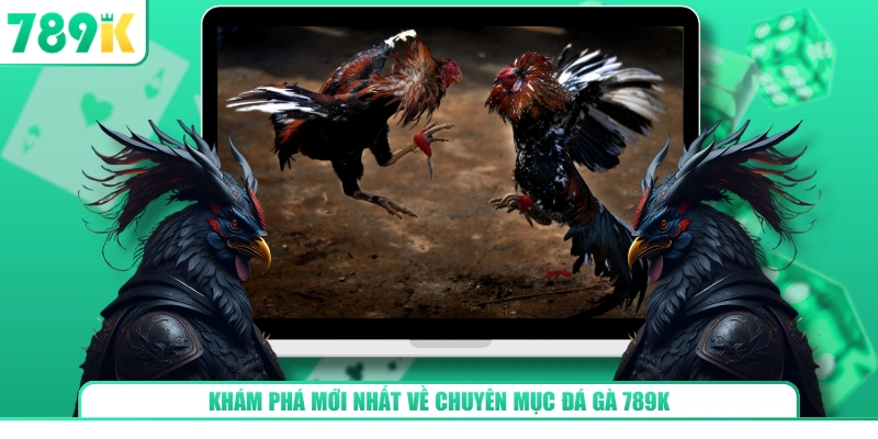 Khám phá mới nhất về chuyên mục đá gà 789K